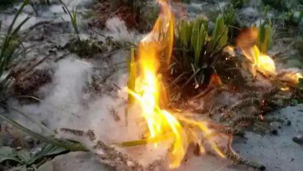 孩童玩火引燃杨柳絮酿成火情 监护人未尽监管义务被判赔偿十一万余元