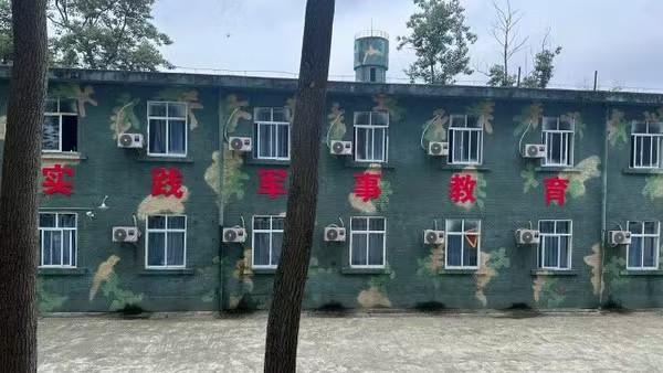 ueditor图片对话框