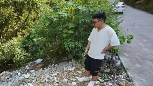 ueditor图片对话框