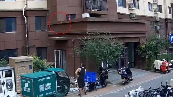 九楼六次抛掷变质水果！高空抛物并非小事，轻则违法、重则入刑