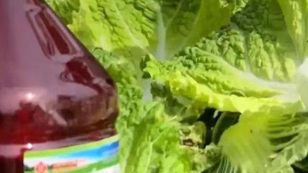 甲醛白菜”事件背后的食品安全法律边界