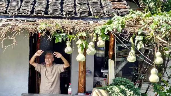 网红葫芦引来围观扰民:打卡不能侵扰普通人的日常烟火